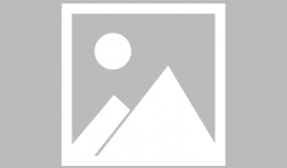 裙子底下是野兽动漫,揭秘野兽动漫中的神秘世界