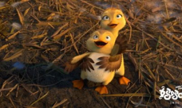 吃瓜爆料小黄鸭视频大全,吃瓜爆料视频大全大揭秘